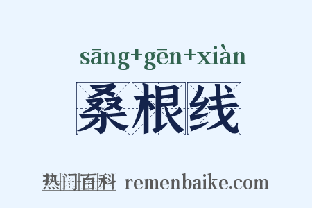 桑根线是什么意思的图片